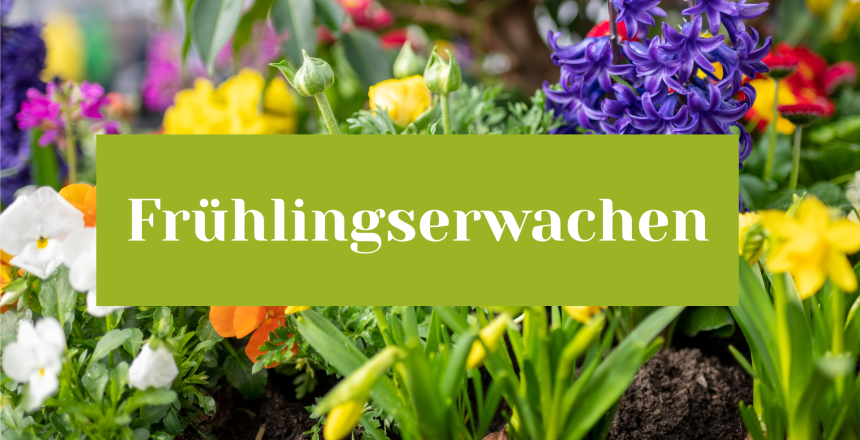 Kopie von Design ohne Titel(1)